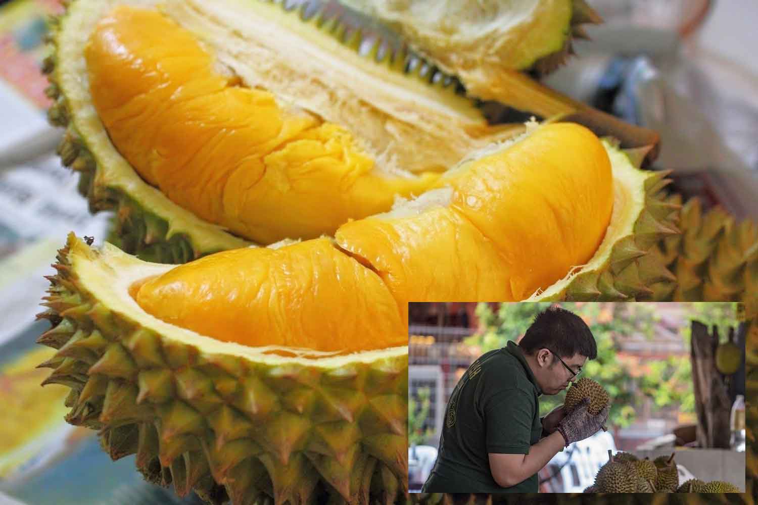 Ini cara nak tahu durian sedap berlemak, tak menyesal punya