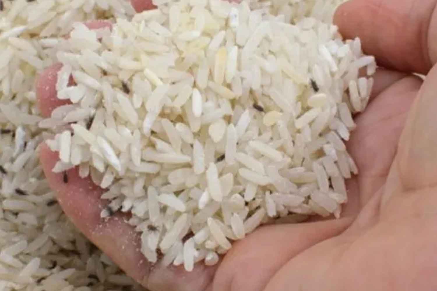 Halau kutu beras, ini 6 cara mudah yang sangat berkesan